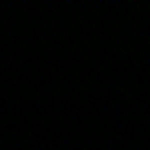 Meet your Posher, Jazzy